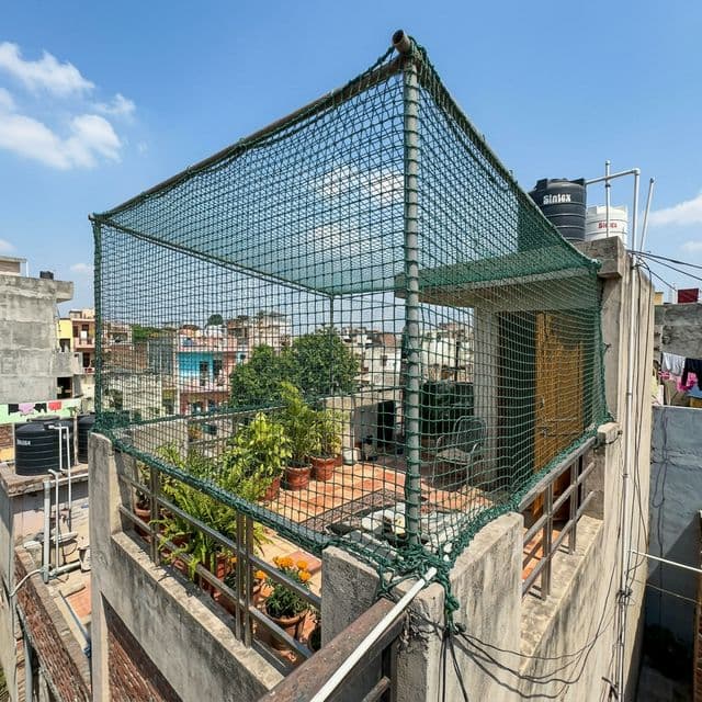 Monkey Safety Nets